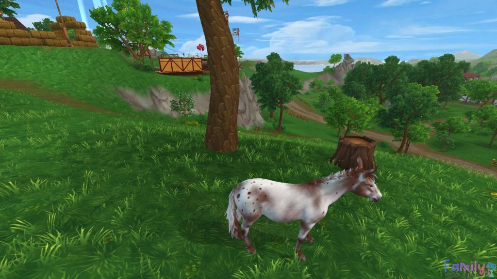 Star Stable Online Western Fest Mule Location screenshot