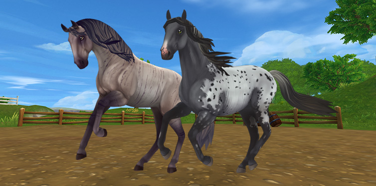 Star Stable Online Barkhart