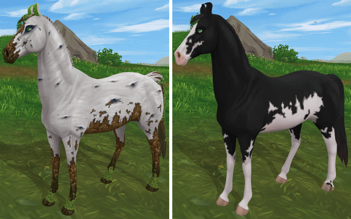 Star Stable Online Birkir