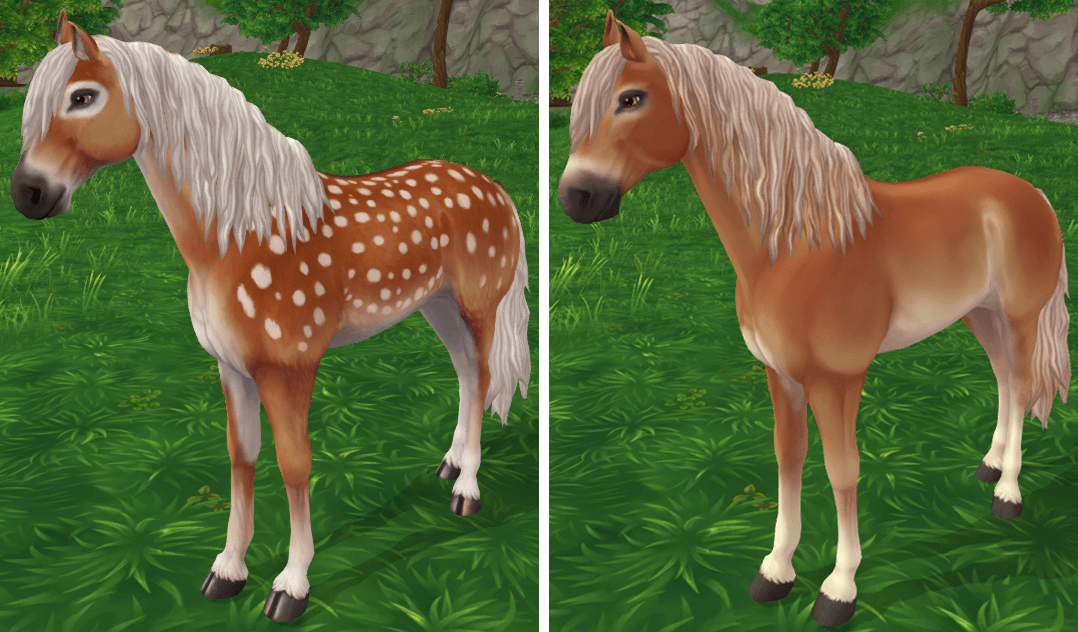 Star Stable Online Fawncy