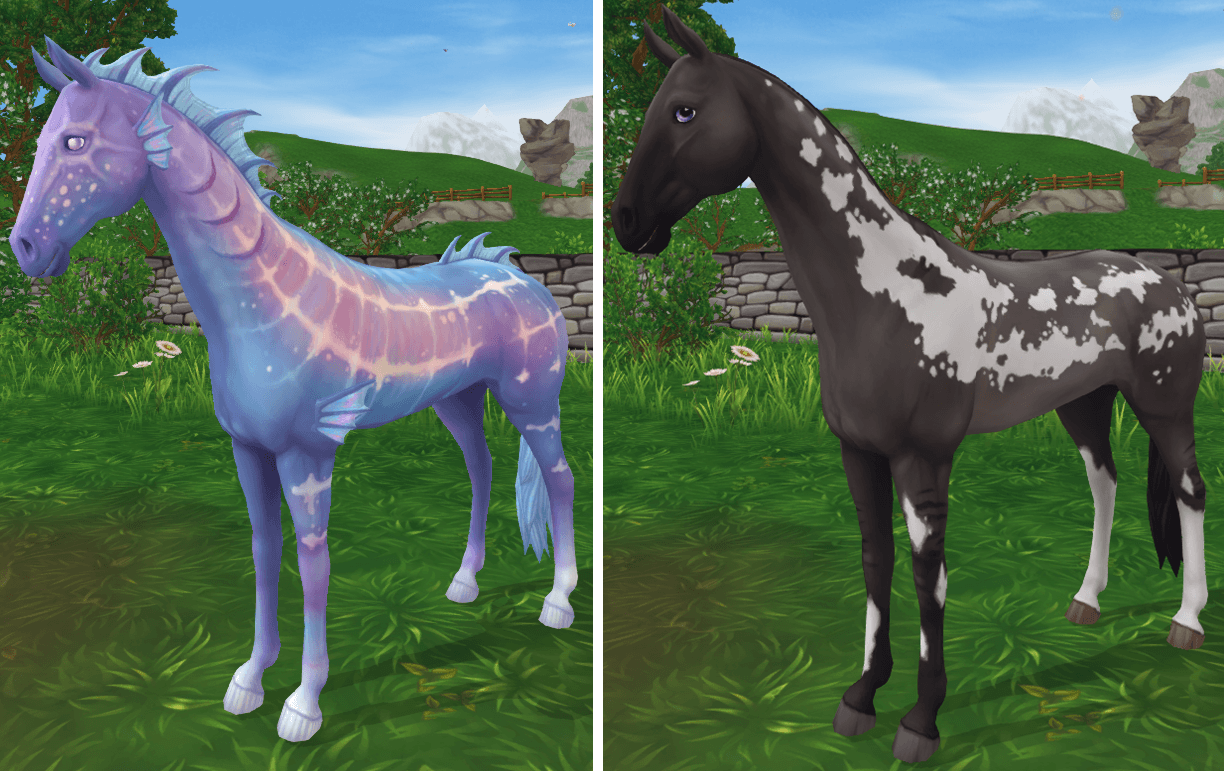Star Stable Online Kampos