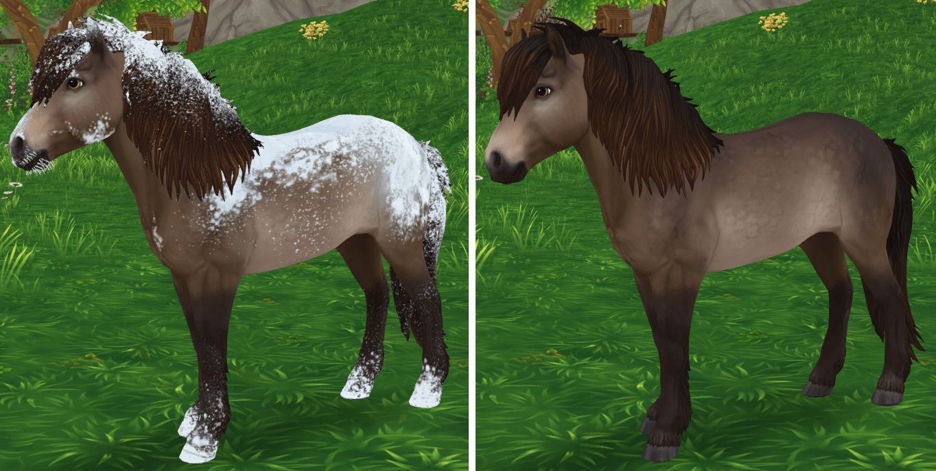 Star Stable Online Kátur