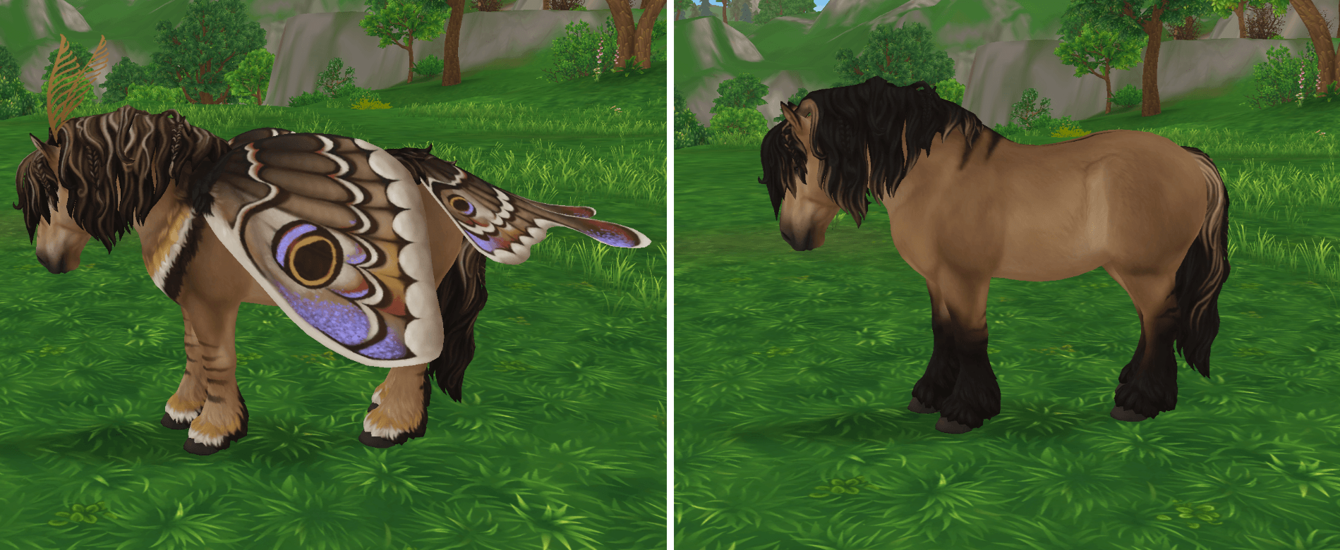 Star Stable Online Nottsoren