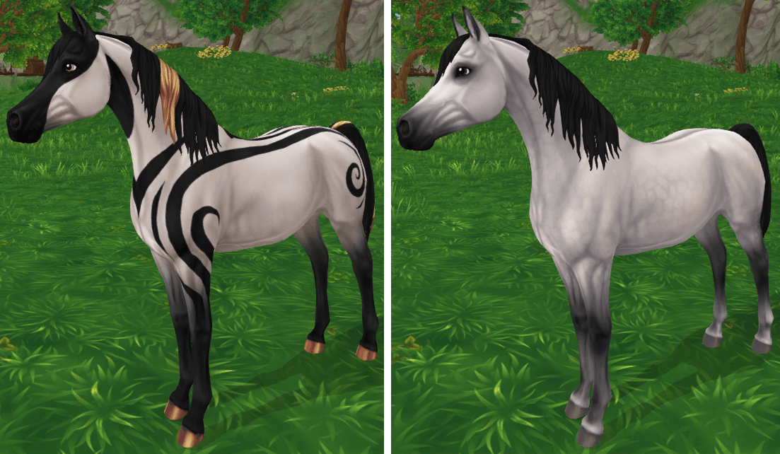 Star Stable Online Snowdancer