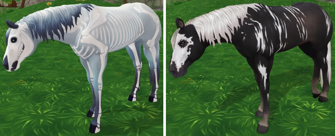 Star Stable Online Tombhoof